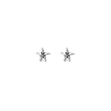 Load image into Gallery viewer, Giovanni Raspini Earrings in 925 Silver Starfish Mini 07996
